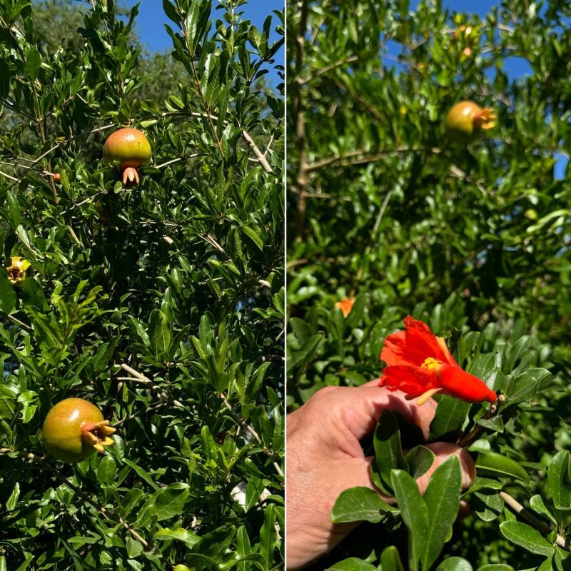 ��������������� ��������� ���������� ������� � ����� ����� � ��������� � ��������