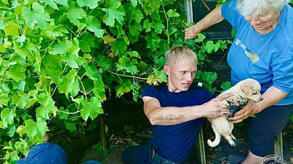 � ������������� ������ ������: ������ ����������� � ��������������� ���