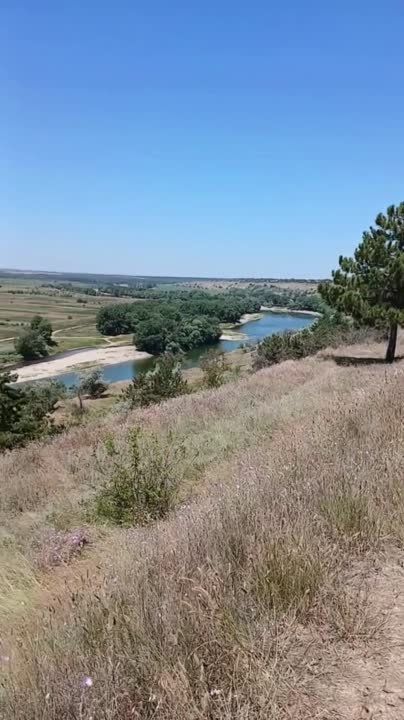 ������� ���������������� ����