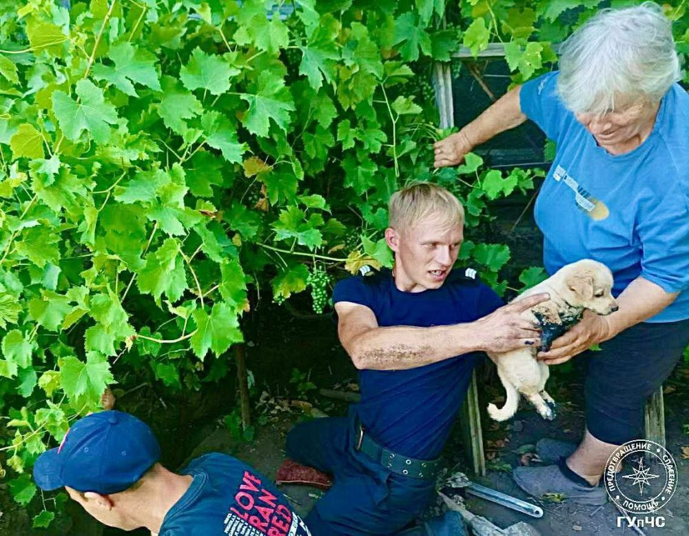 ������������ �������� ������ ������