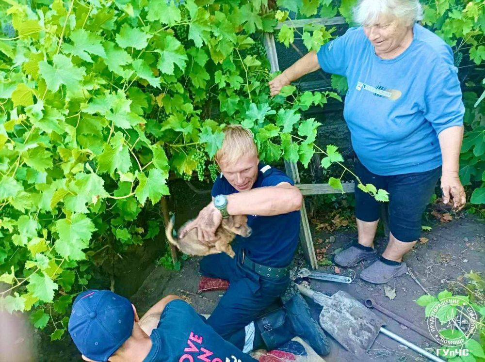 � ��������������� �������� ������ ���� ������