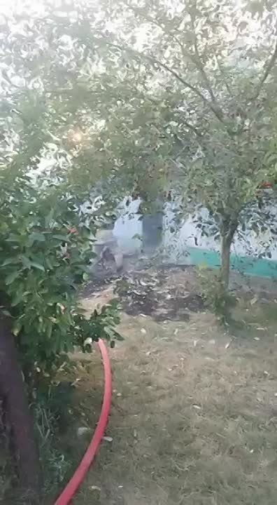 ����������� ������� � ������ � ���������