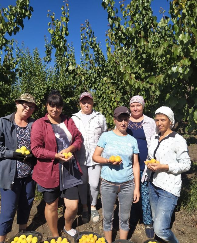 � ��� "��������� �.�." ��� ������ �������� � ���������