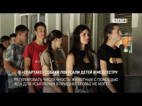 � ������ �������� ������ �������� ��� ���������� � ���������