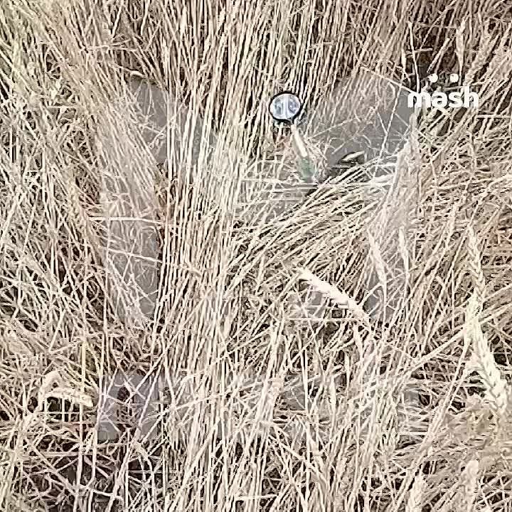 ������� �������������� ����� ���������� � ����� �� ������