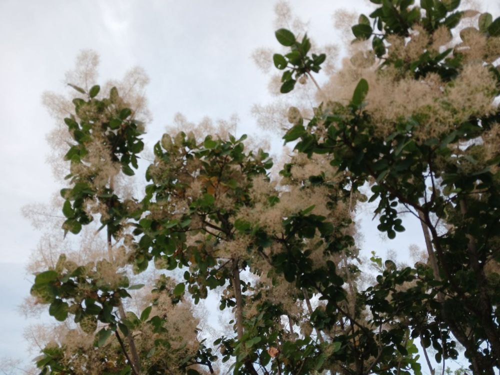 ��� �������� ��������� ����� �� ����� �� � ��, 11 ���� ��������� ���������� ����������, ��� �������