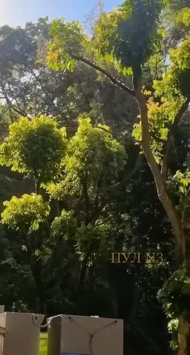 ����� �� ����� - �� ������ ��� �����: � ��������� ������ ����� ��������� ��������� �����, � ��� ��������� �����������, ��� ��� ��������� ���������� ��������� � ������� ���� � ����� ������� ����