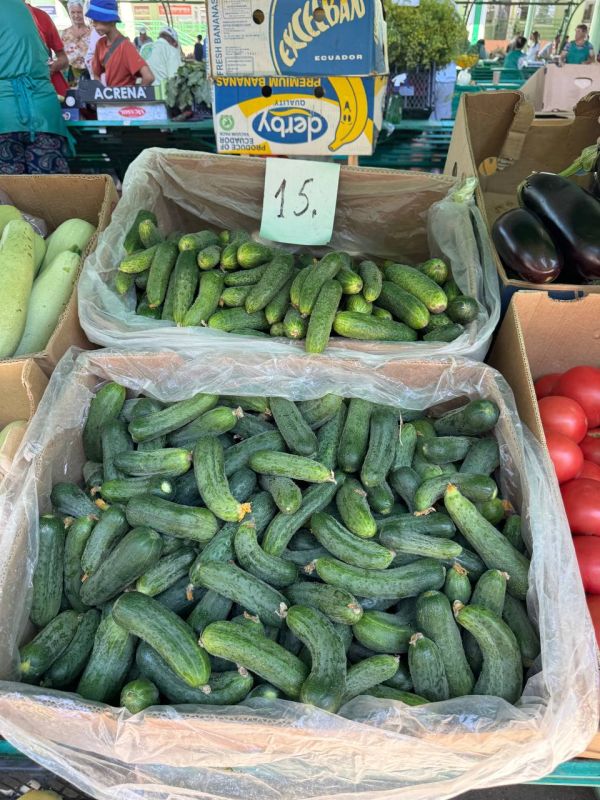 ������ �� ������ ����� ����������