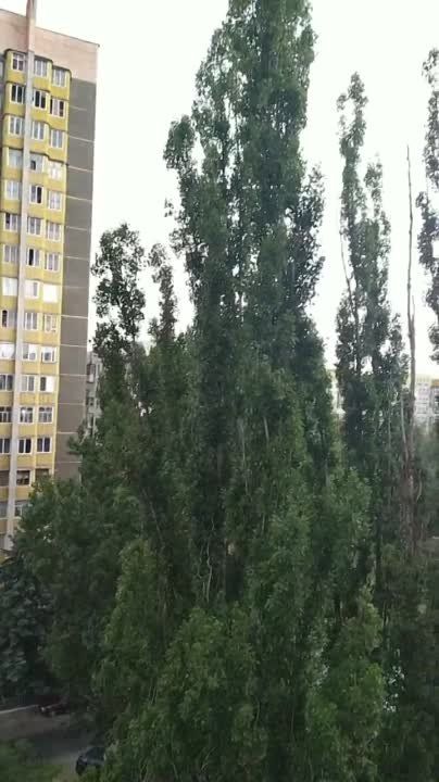 � ������� ����� ��������. � ����� ������� ���������