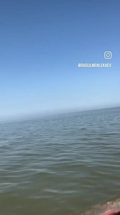 �������� ����� ������� ���� �������� ����� �������