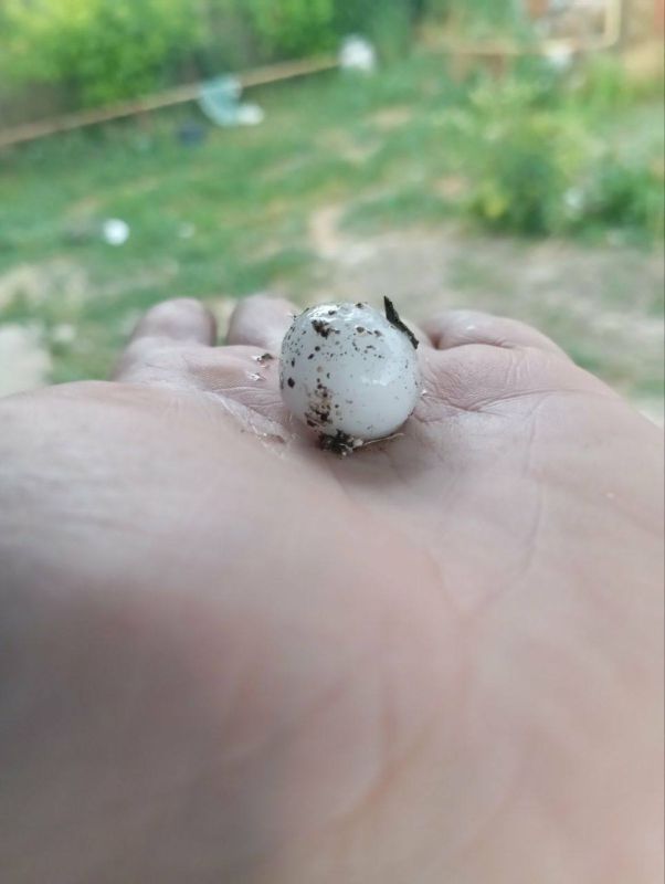 ���� � �������