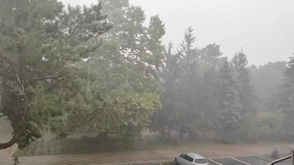 � ������� ����� � ������