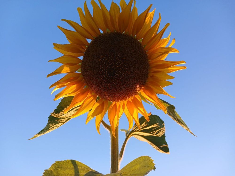 �������� ������� � ����� ������ ������