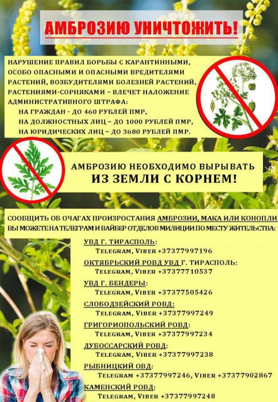 ���������� � ����������