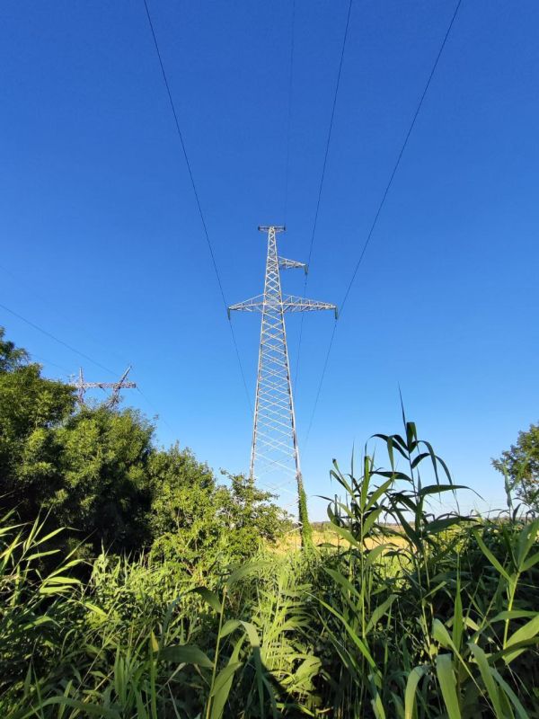 ������� ������ ���. ����� ����� ��� ���� ��� ���������, ������ �������