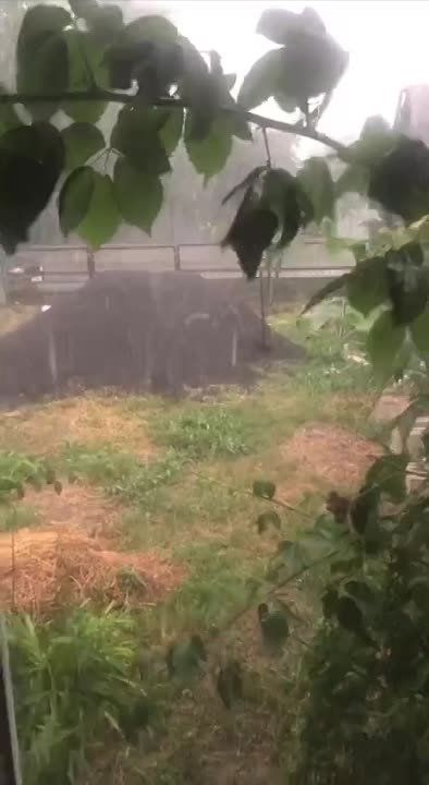 ������ ����� � ������