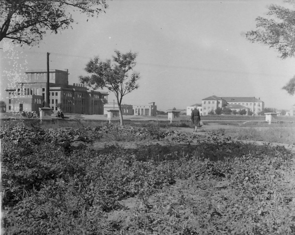 ������������� ���� �������, ���������� ����� 1950 ����