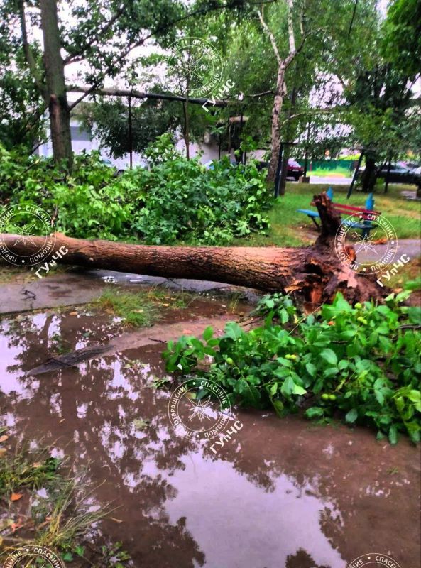 ����� ����� ���� ������ � ������� �������� ������� ����� � �����