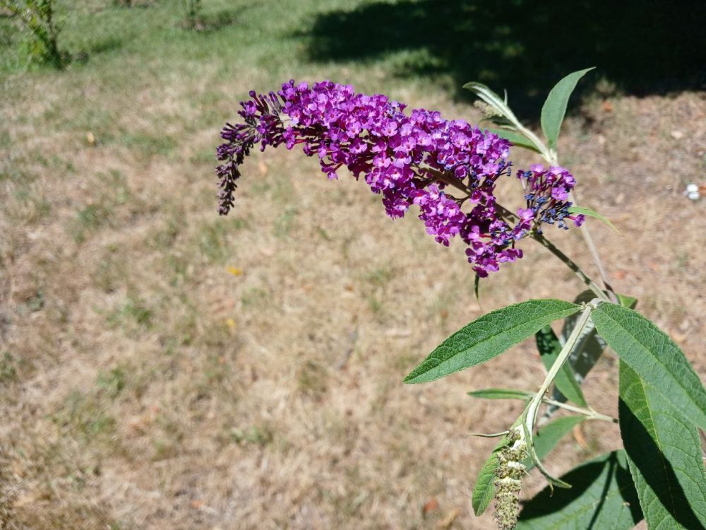 ��� �������� ��������� ����� �� ����� �� � ��, 12 ���� ��������� ���������� ����������, �� ������ �������� ��� ������� ��������������� �����, �������� �����