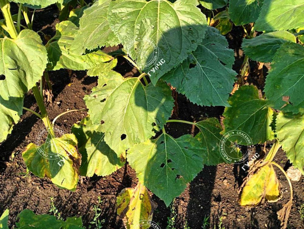 ��������� � �������. ����������� ����� � ��������� ������