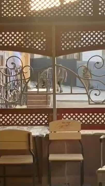 ��������� ����� ������ ��������� �� �����������, � ���� ��� �������� ����������� �� �� ������� �������� � "�����������" �� ���� ������