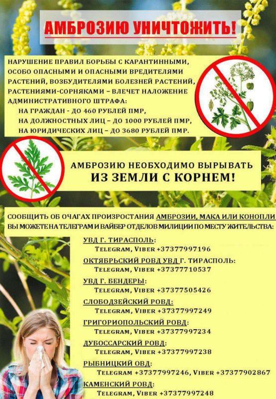 ������ ��������� � ������� � ��������� � �������, ���� ����� ����� ����������, ���� �� ������� ��������, ������������ ���