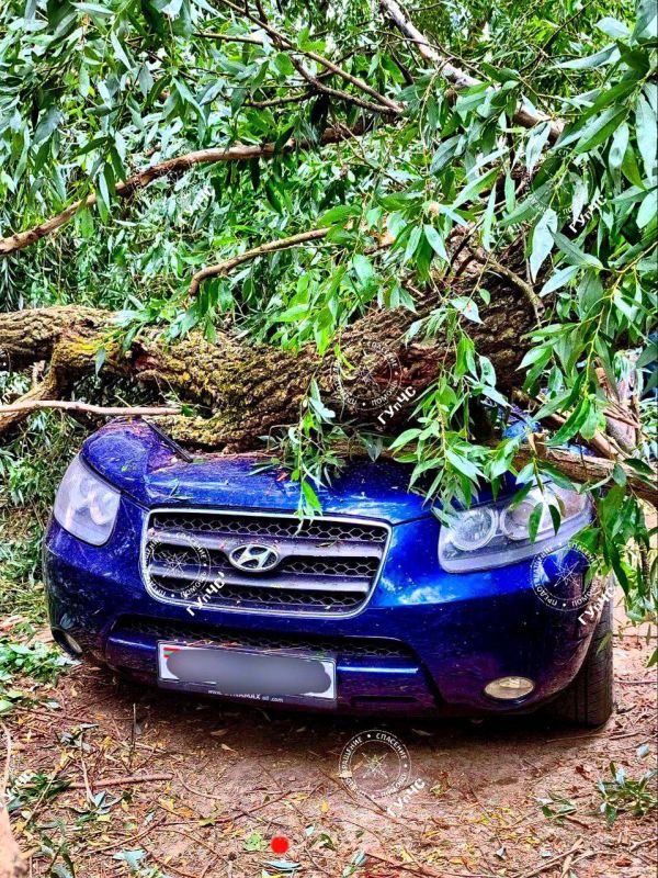 �������� ������ �������