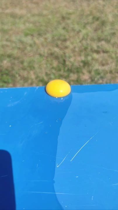 ��� ������ �����, ����� ����� ������