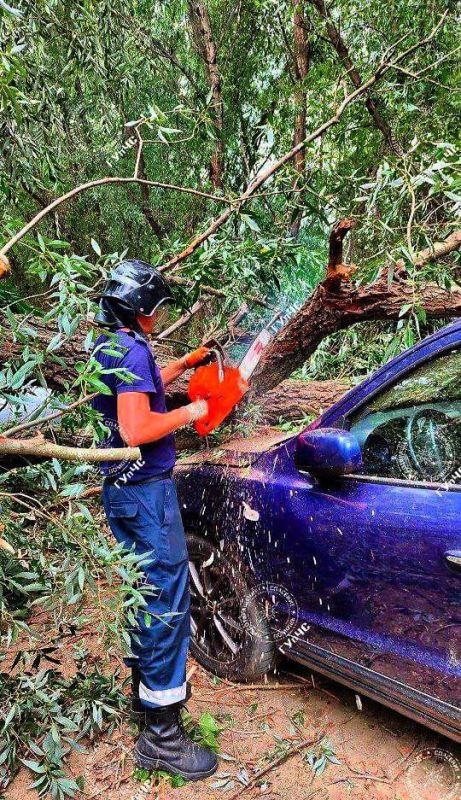 �� ������ ����� �������� ���, ��������� ������ ����