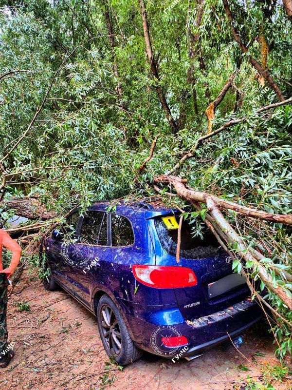 ������ ����. ���� ���� �������, ��� ����� � ������. ������� ����� � ������ �������� ������, ��������� ����� ��������� �� ����. �� ������ �������