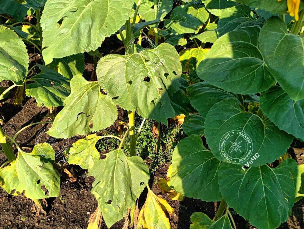 ���� ���������� ���������� � ��������� ������