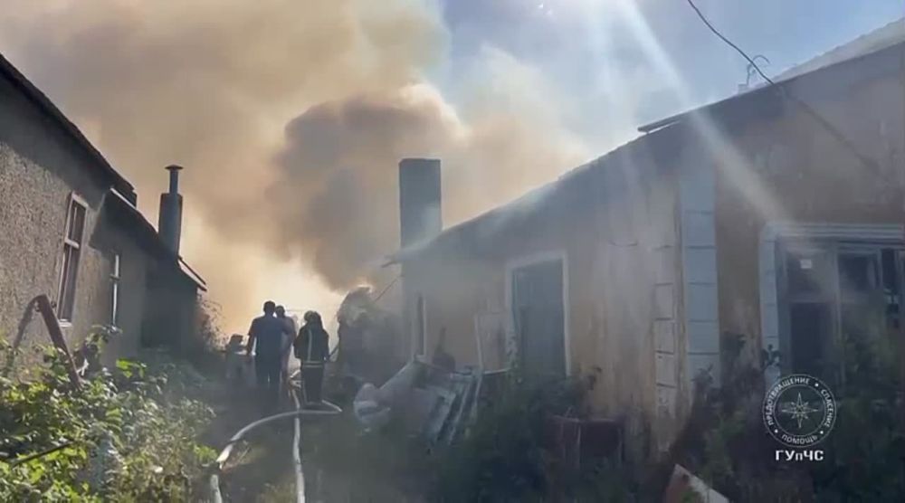 �� ���������� ���� ������������ ����� ���� � ��������. ��������� ���������. ����� �������� �������� ������ �����, �����, ������������ � �����