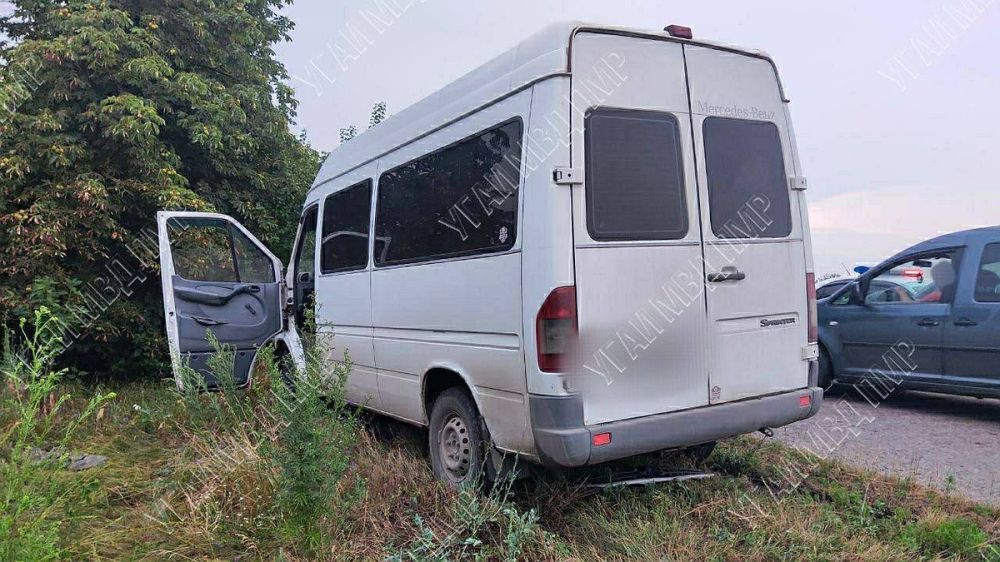 � ������������� ��������� ����� 14-������� �������������: �������� ��������� � ����������