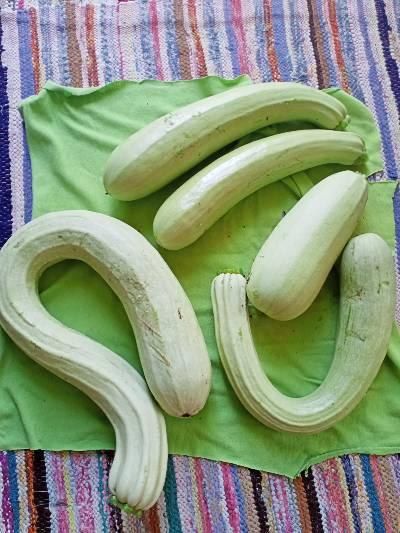 ��������������� ������� �� ���� ����� ������ � ����� ������� � �����