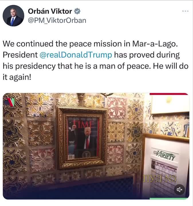 ������� ������� ����� � ������� ������� ������� � �������� ������: �� ���������� ������ ������ � ���-�-����