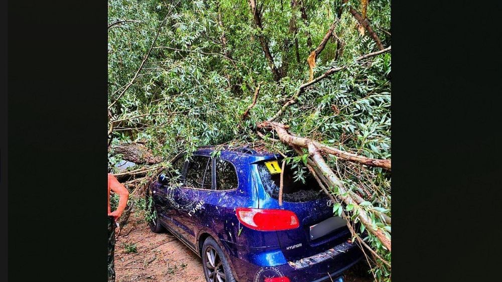 ������ ����: � ������������� ������� ����� ��������� �� ���������� �� ������� �� ����, ��� �� ���� ����� �������� ������