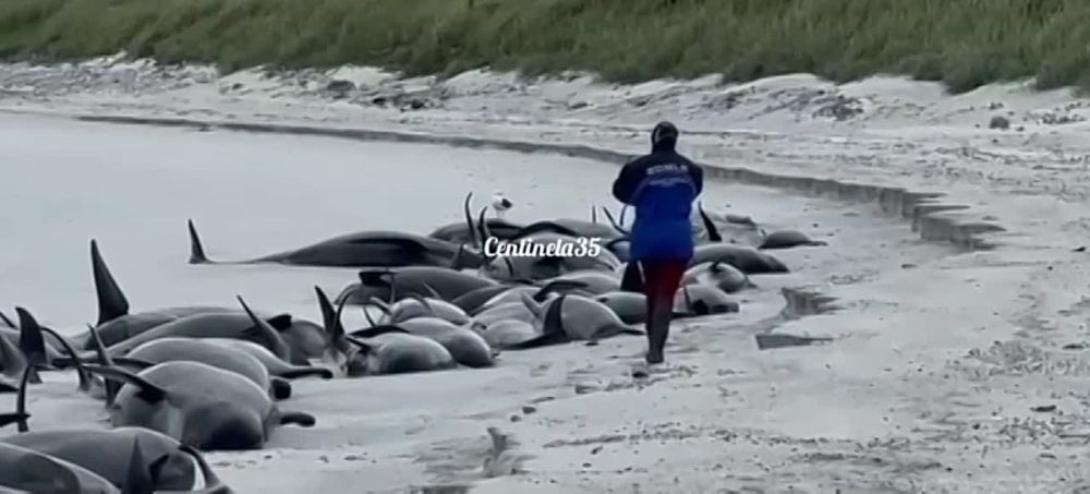 �� ������� ���� 65 �����-�������� ������� ����� ����, ��� ����������� �� ��������� ������� � ��������� ��������� ���������