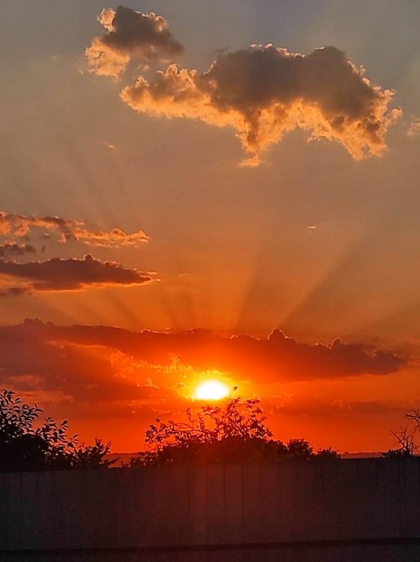 ����� � ��������