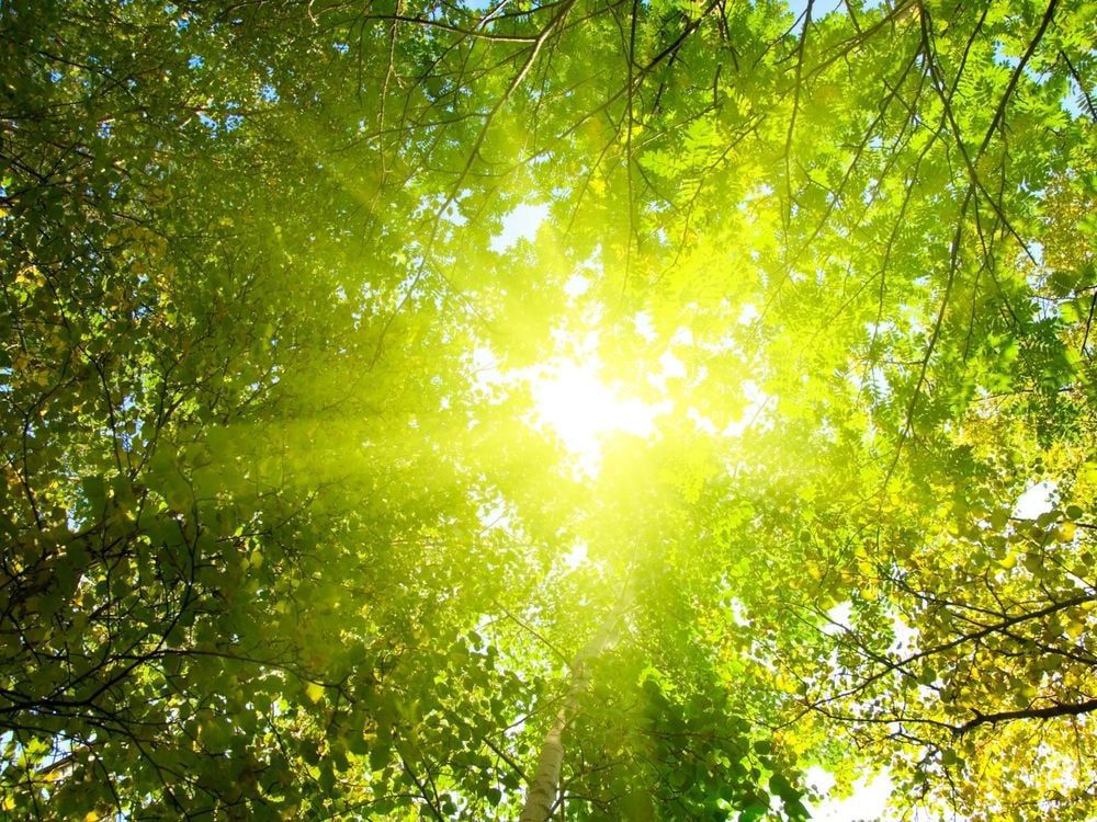 ������������ ���������������� ��������������: �� ���� ������ ����������� ������� ���� ������� � ����� ����������� ����� ��� ���������� �������