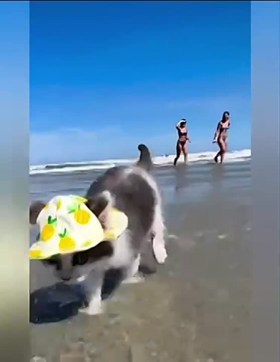 � ����� ������� ������� �������� ������������� - �� ����