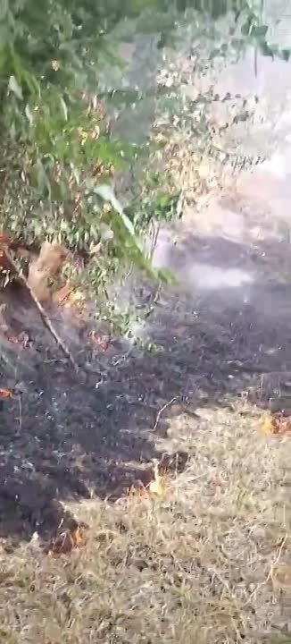 � ��������� ����� 6 ������ ������� ������ ����� ����� �����, � ����� ���������� ����� �����