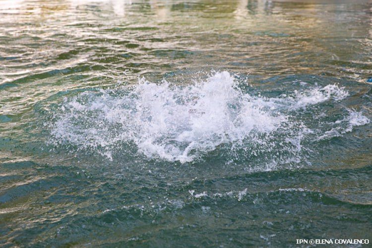 В Днестре близ Ташлыка обнаружено тело утонувшего мужчины