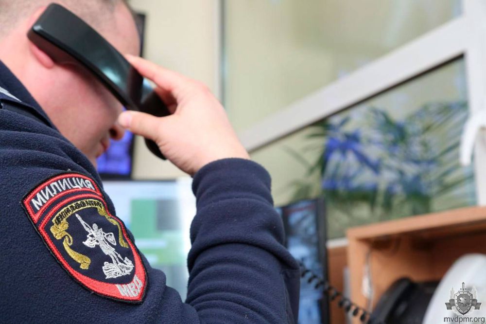 ���������� ����������. ������� 10 ���� � ��� �������� 38-������ �������. � �������� ������ ��������������� �������� ������� ����