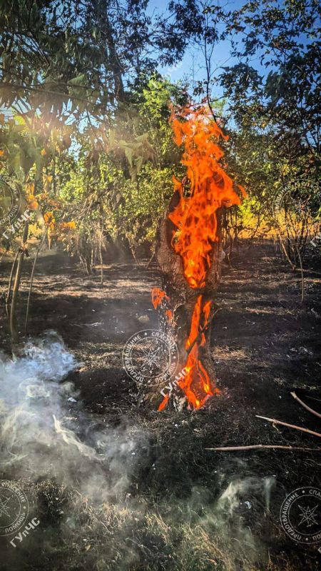 ����� �������������: � ����� ���� ����� ����������, ��� ������