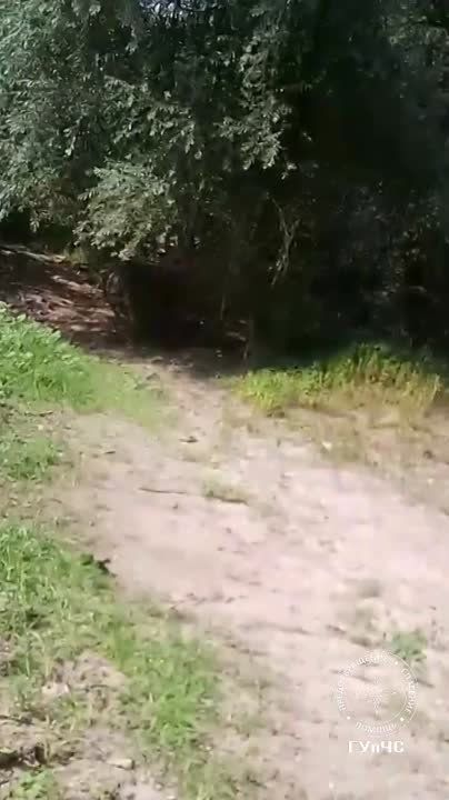 �������� ��������� � ����� �� ���������� �������