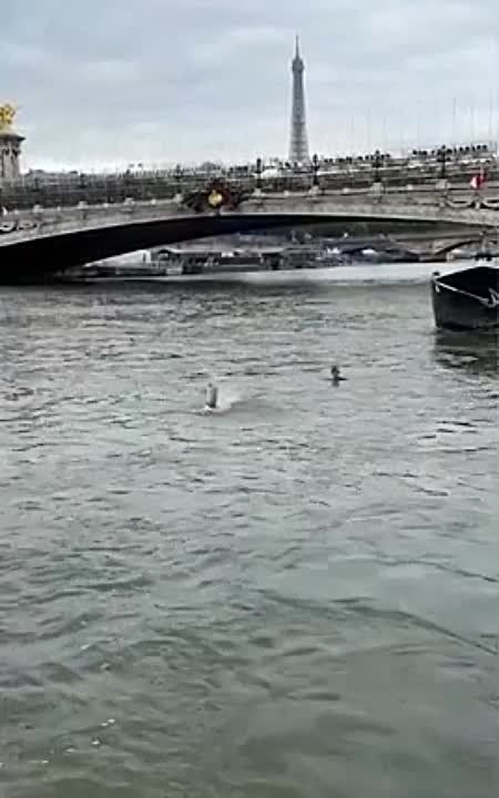 ������� ������ ������� ���������� � ��������� ����� ���� ����� ������� ����������� ���