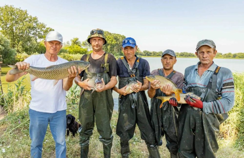 ������������� ������ ������������� ���������� ����