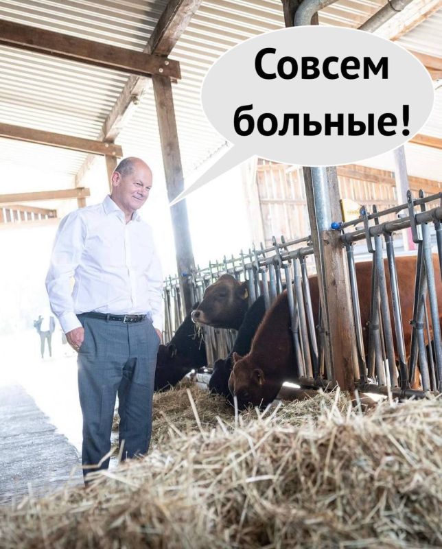 ��������: ����� �������� ������, ��� ������ ��������� �������� � ����