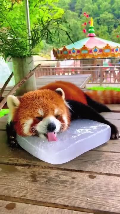 ���������� � ����