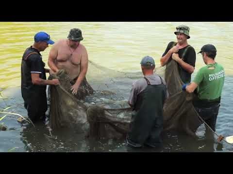 ������� ���� ������. ���� ������ ���������� ������ ������ ����������� ���� � 1965 ���� � ���� ��������� �������� �������...